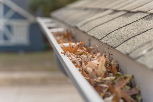 Leaf Barrier Installation in Springfield